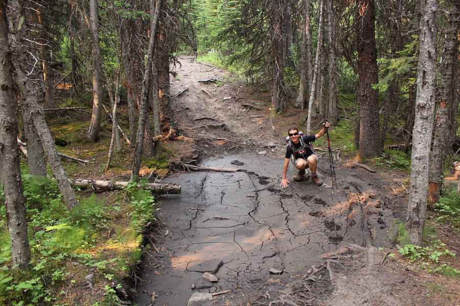 My, what big claws you have!