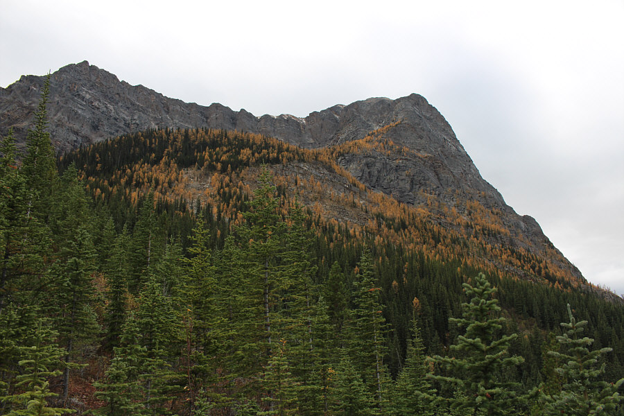 Storm Mountain North Ridge intrigues me...