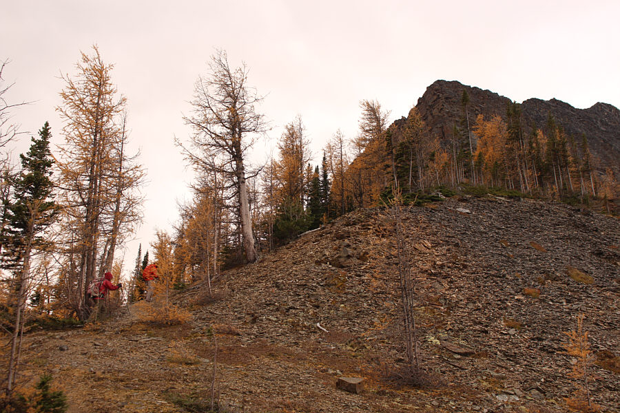 Most people hiking to Arnica Lake don't bother coming up here.