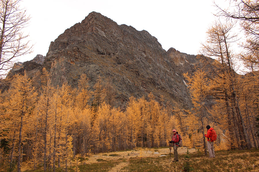 Still beautiful even on a cloudy day!