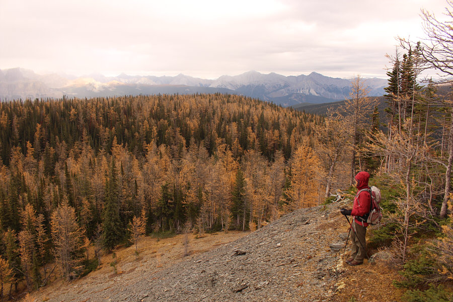 Sigh...time to go down now!