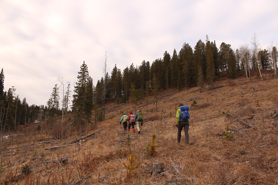 I'm just glad we're not bushwhacking!