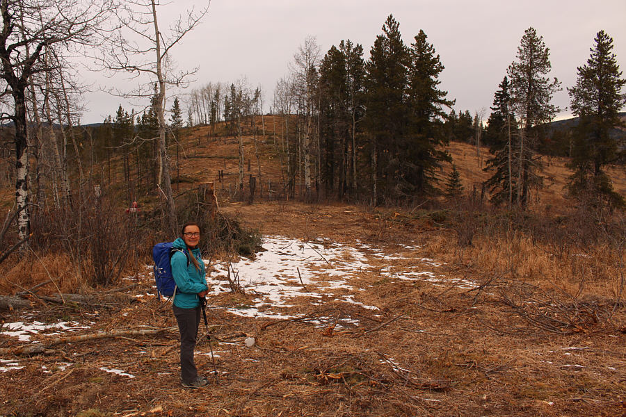 Almost there...already!