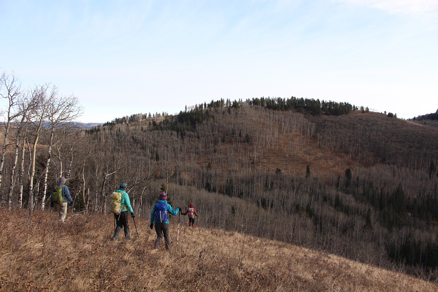 Some light bushwhacking coming up!