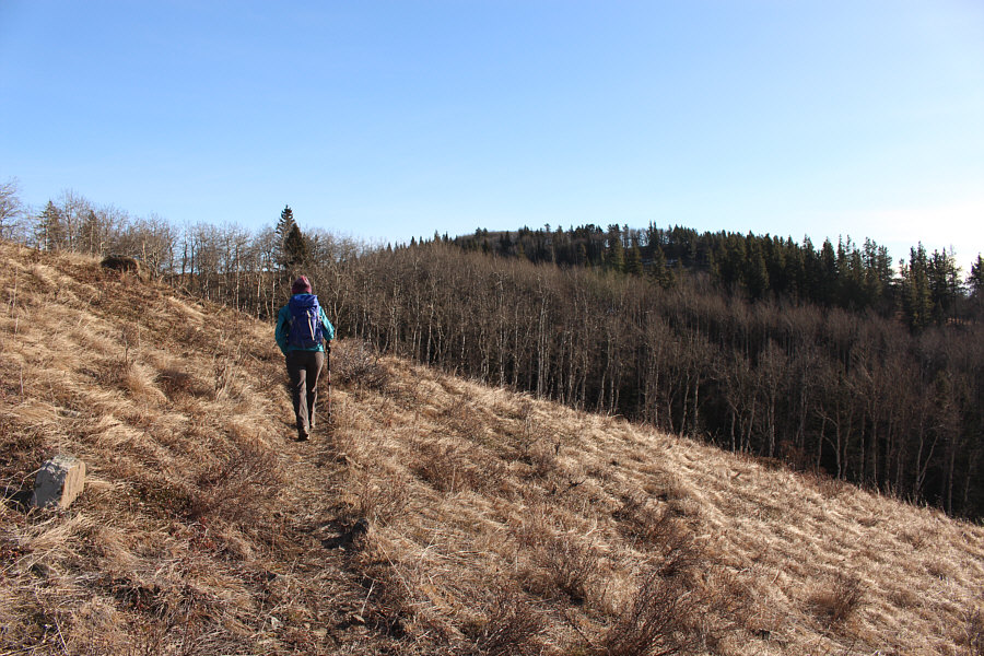 Looks rather underwhelming, doesn't it?