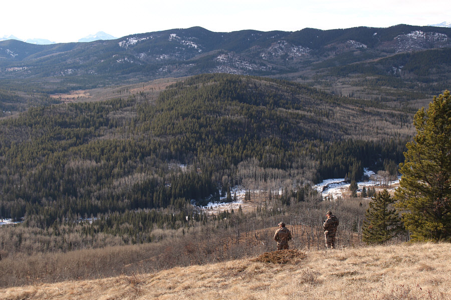 Hello again...big beard guy!