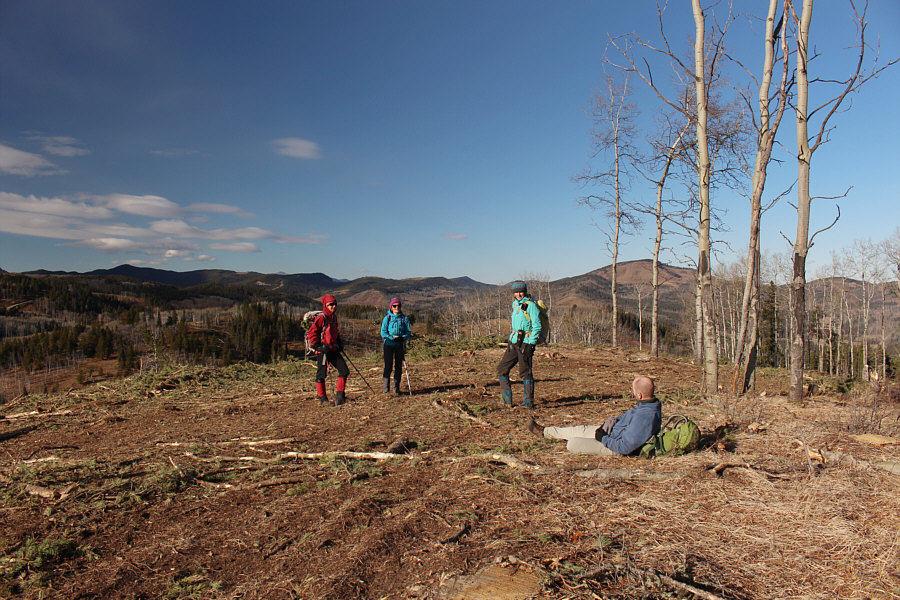 Chester has fallen and can't get up!