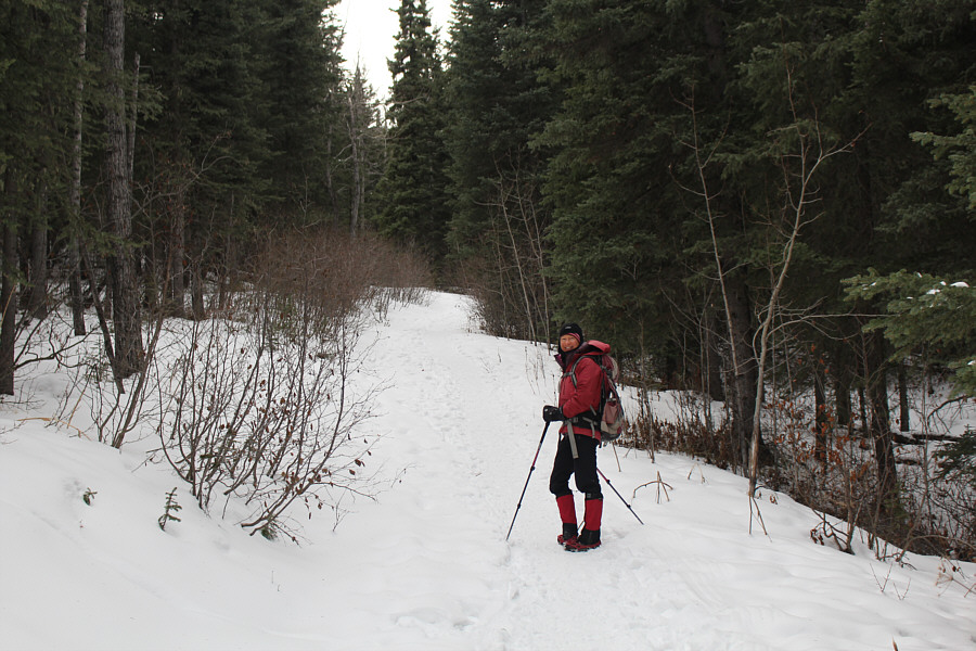 A very well-traveled trail.