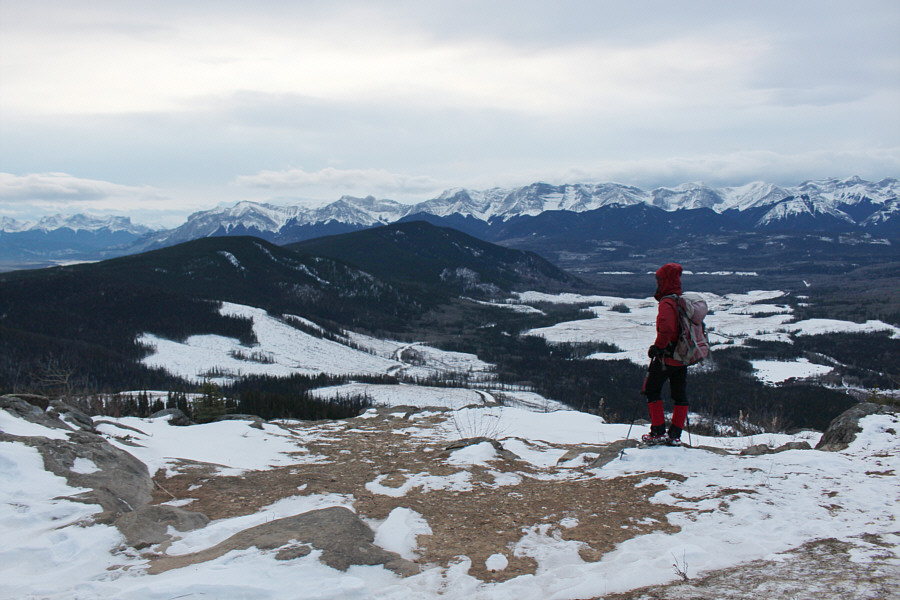 This viewpoint is about 6 metres lower than the high point.