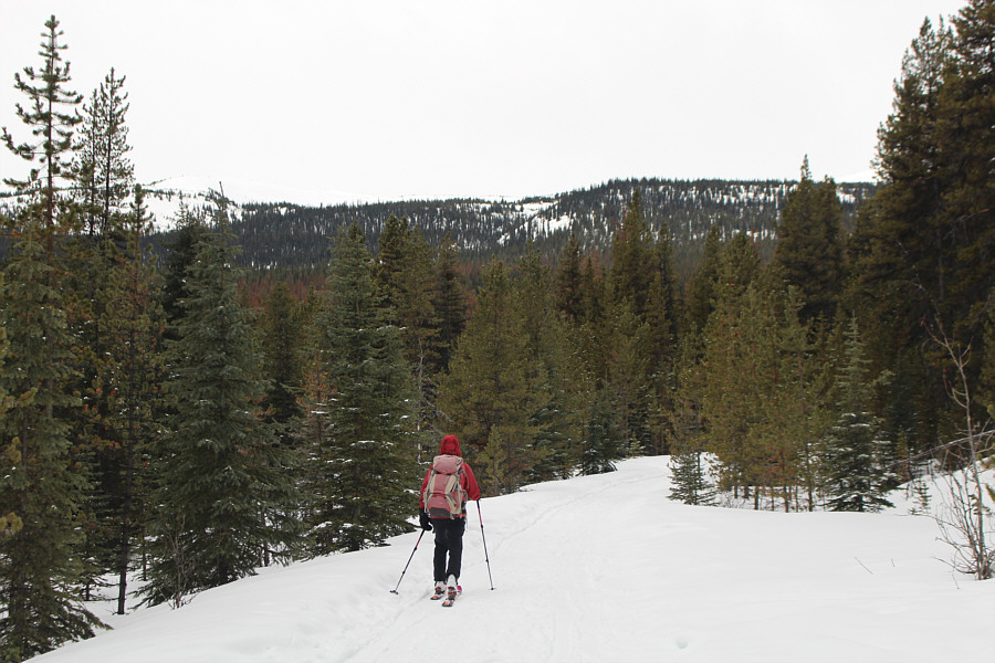 Good time for socializing!