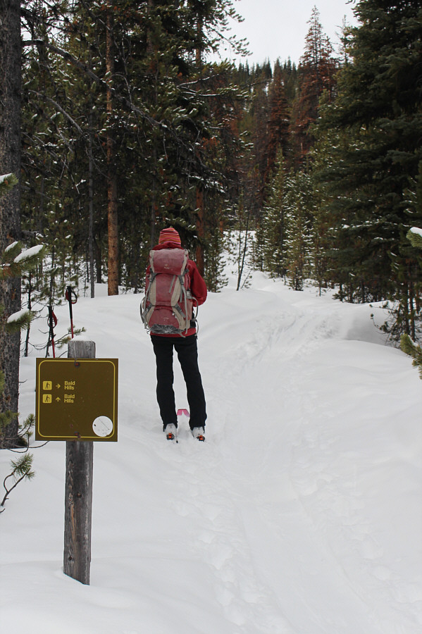 I highly recommend taking this short cut!