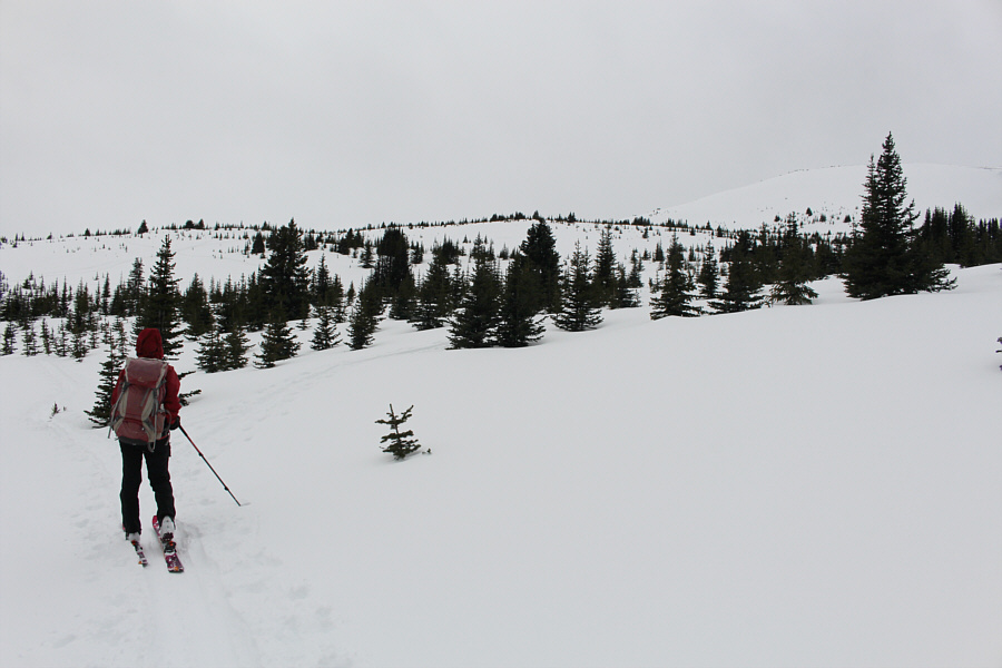 Too bad about the overcast sky though!