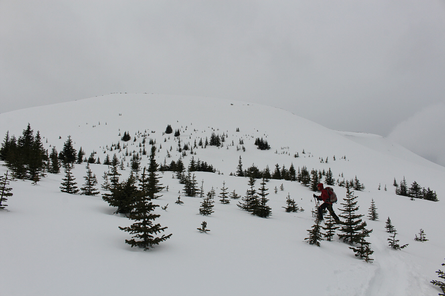 Look at all that untracked powder!