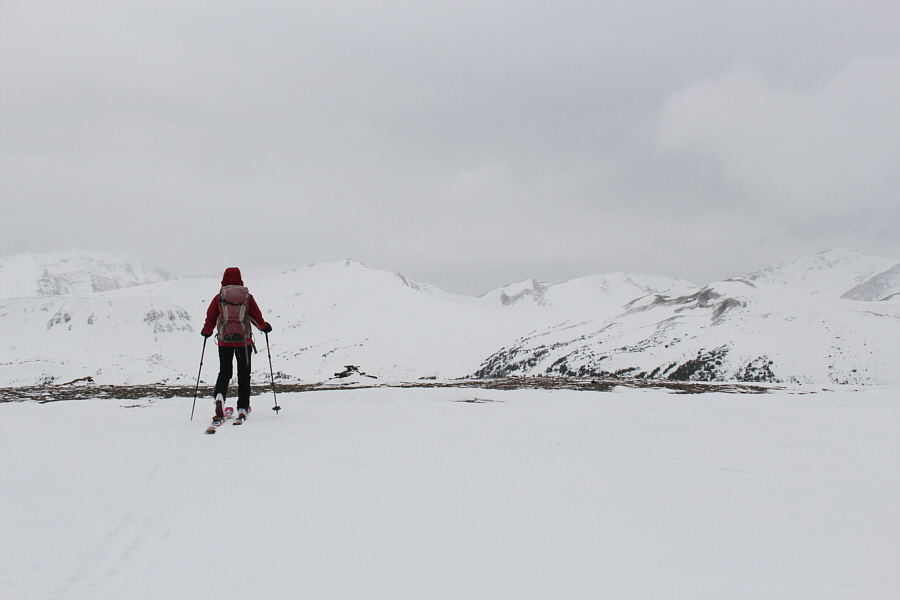 Not the highest point of the Bald Hills, but this will suffice for today!