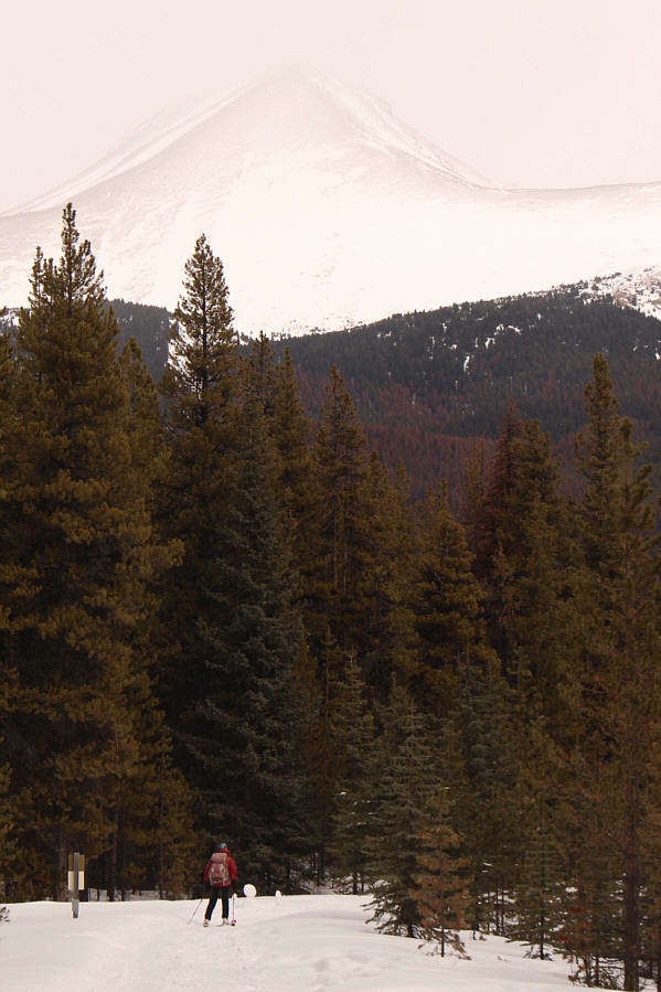 Too bad it doesn't look skiable 'cause it's probably a helluva scree bash!