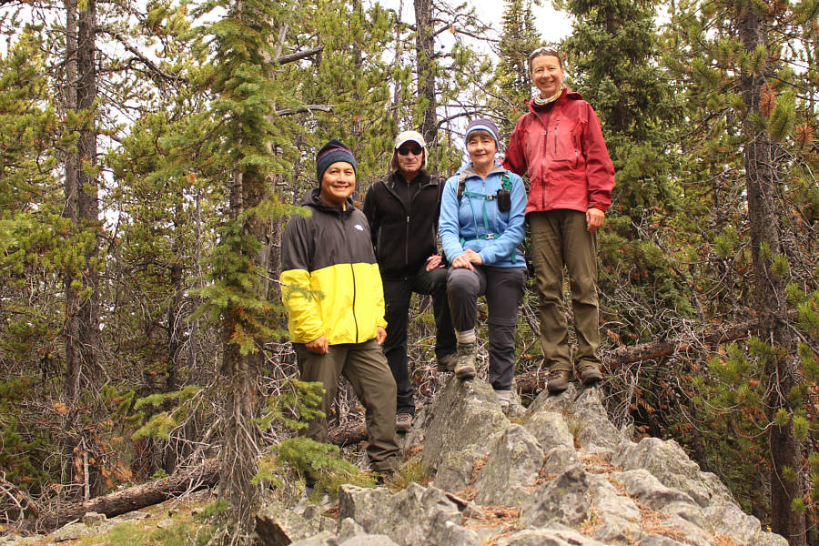 Another forested summit...sigh.