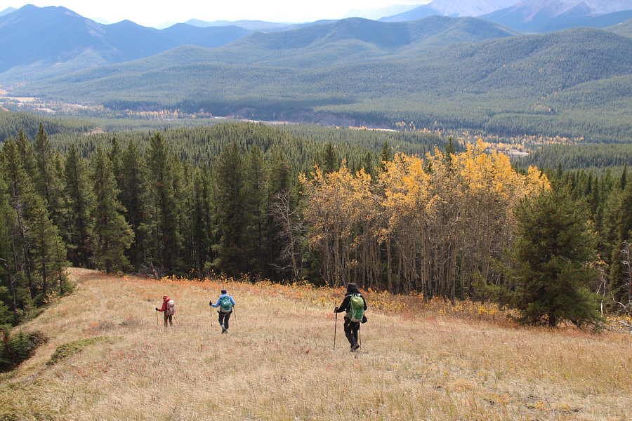 We're not out of the woods yet...