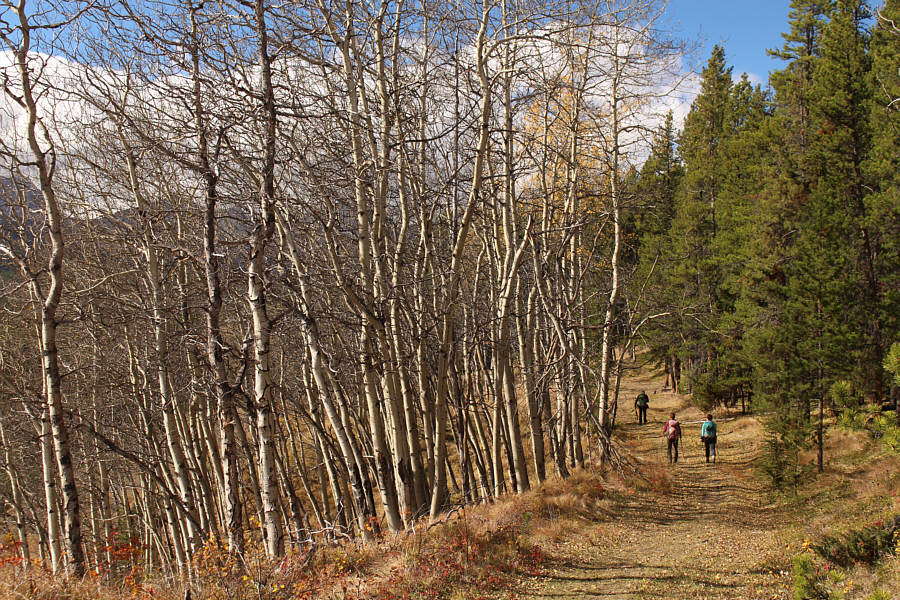 Yep, it feels like fall!