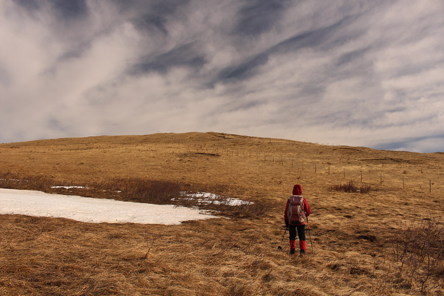 If there was more snow, this might be a good hill for a ski tour...or toboggan!