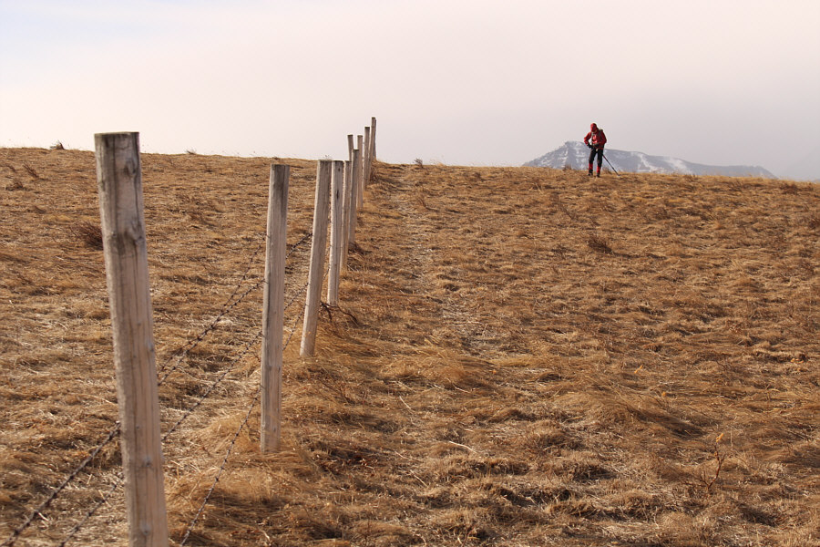 I guess it's okay to cross the fence?