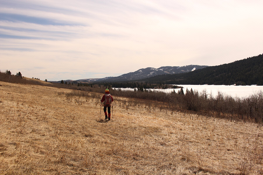 Easy and no bushwhacking!