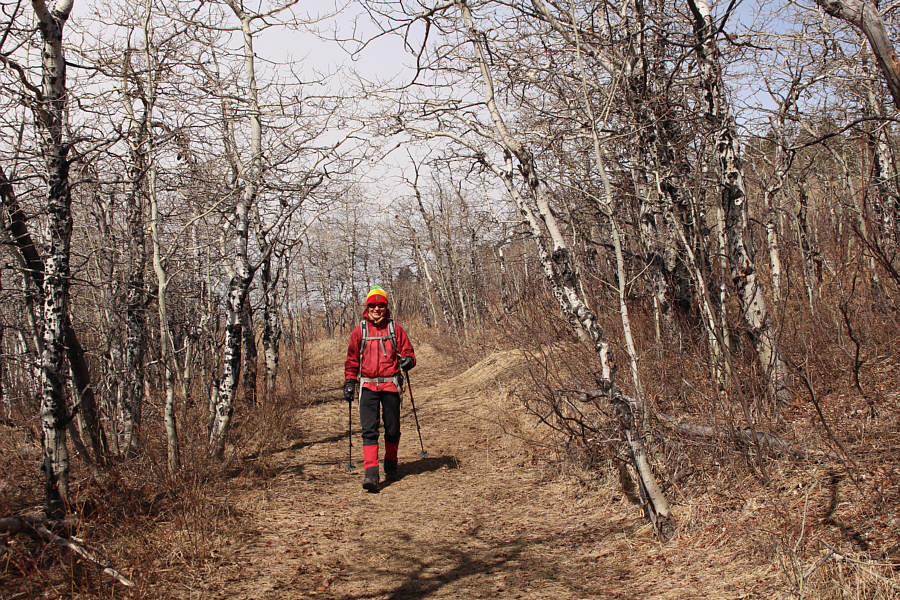 Like going for a Sunday stroll!