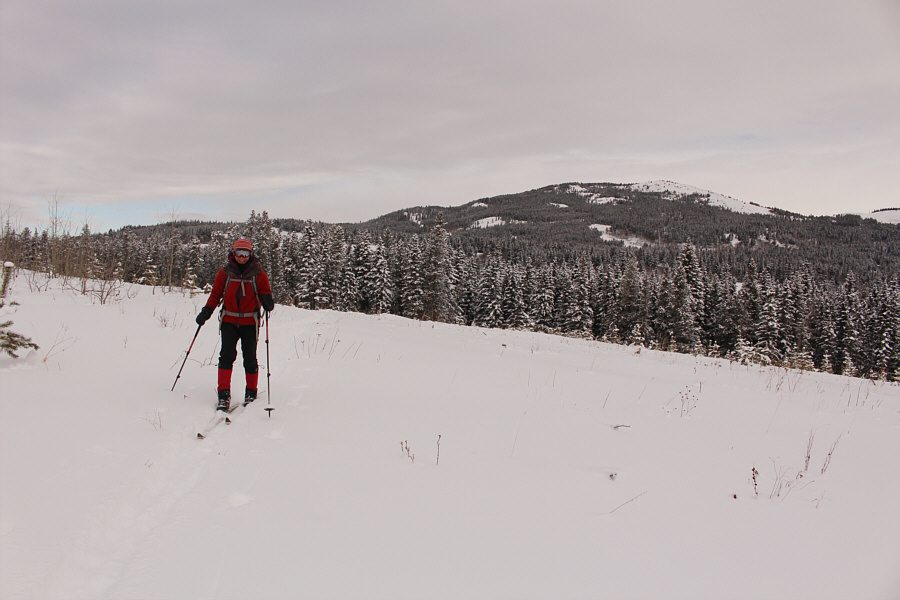 Maybe we don't need no stinkin' logging road...