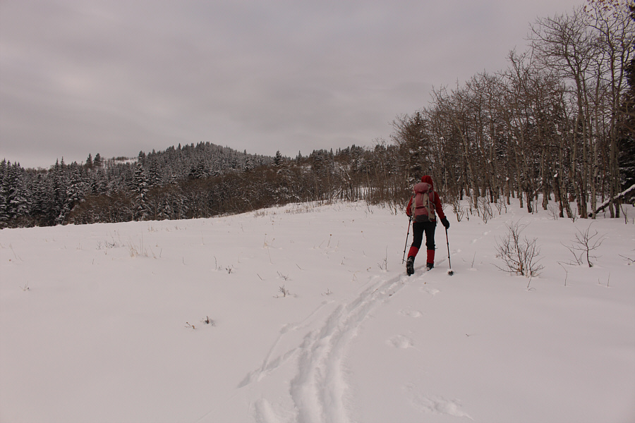 The route-finding gets a little tricky here...