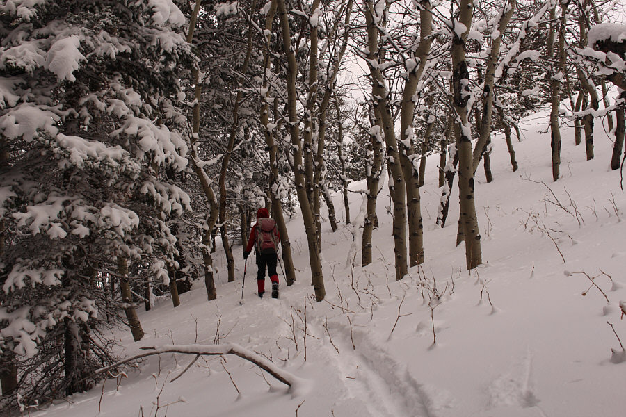 Saved us some unnecessary elevation gain!