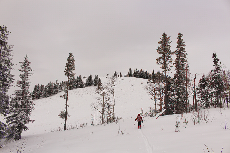 One more big uphill...