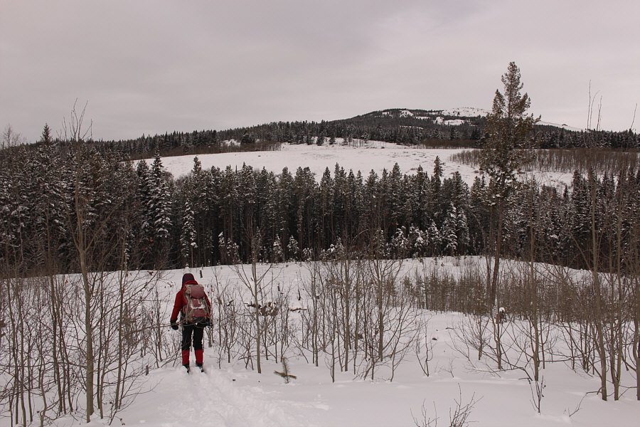 Still a fair bit of uphill skiing on the way back, but no more route-finding issues.