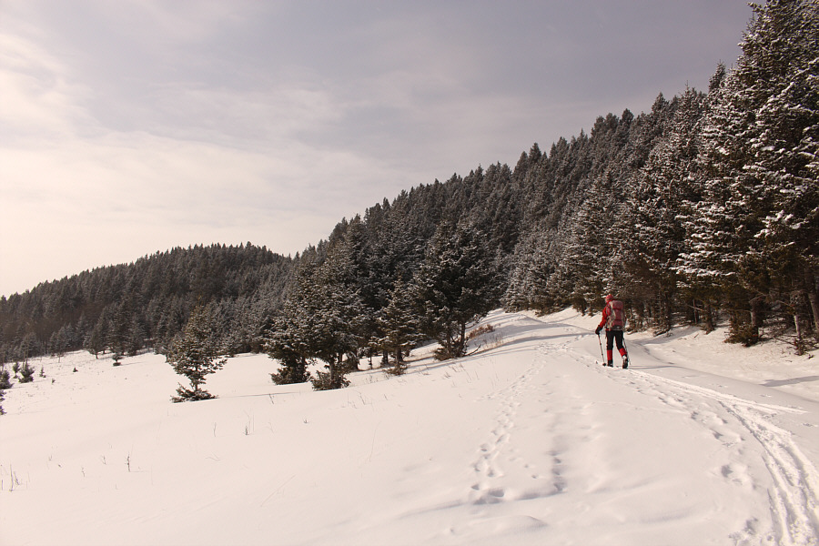 We're making some good progress here!