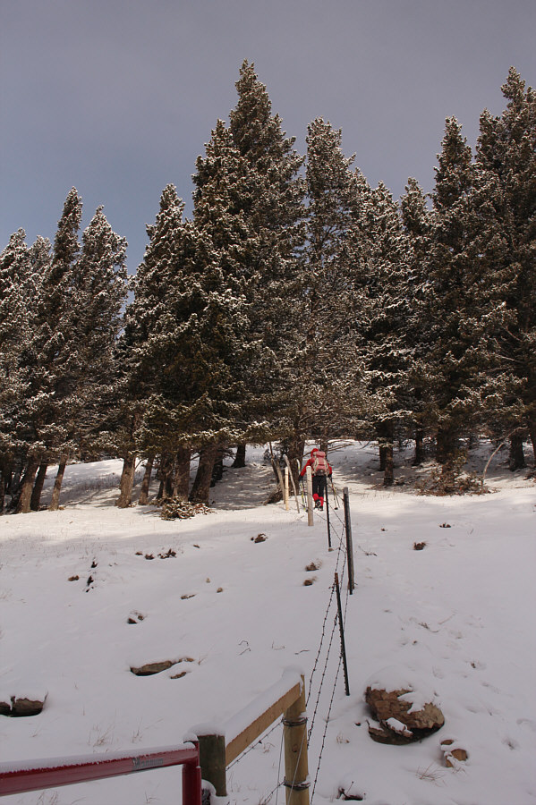 Time to put on our climbing skins!