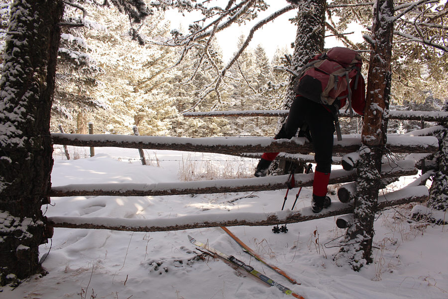 Warning: The fence logs aren't very secure...