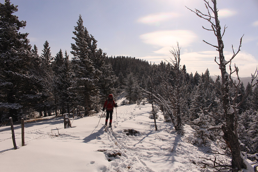 Sorta worth it, sorta not!