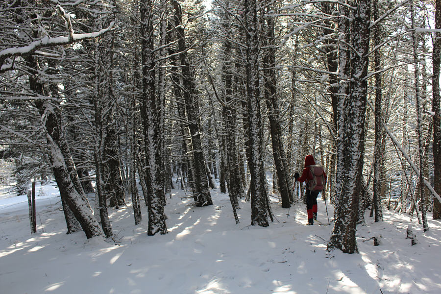 Enchanting, isn't it?