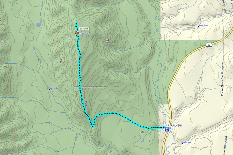 Not destined to be a classic ski ascent, but it's definitely doable!