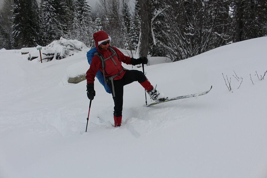 We should be downhill skiing!