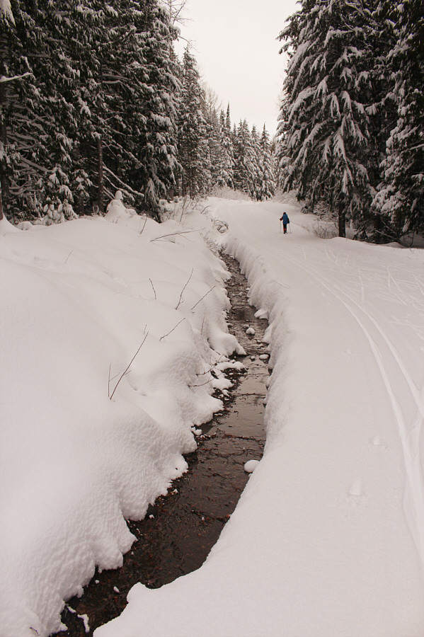Try not to ski into the ditch!