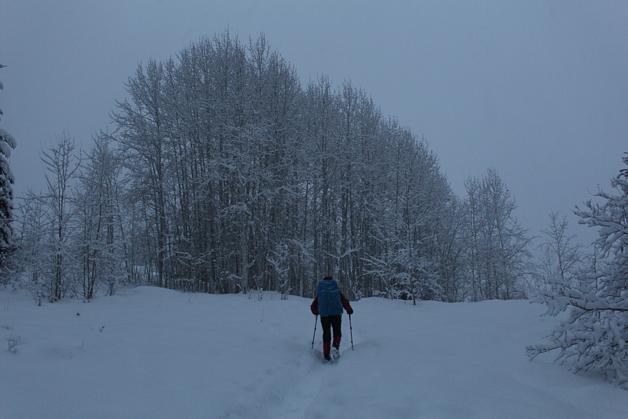 Pretty much the extent of our views on this day.