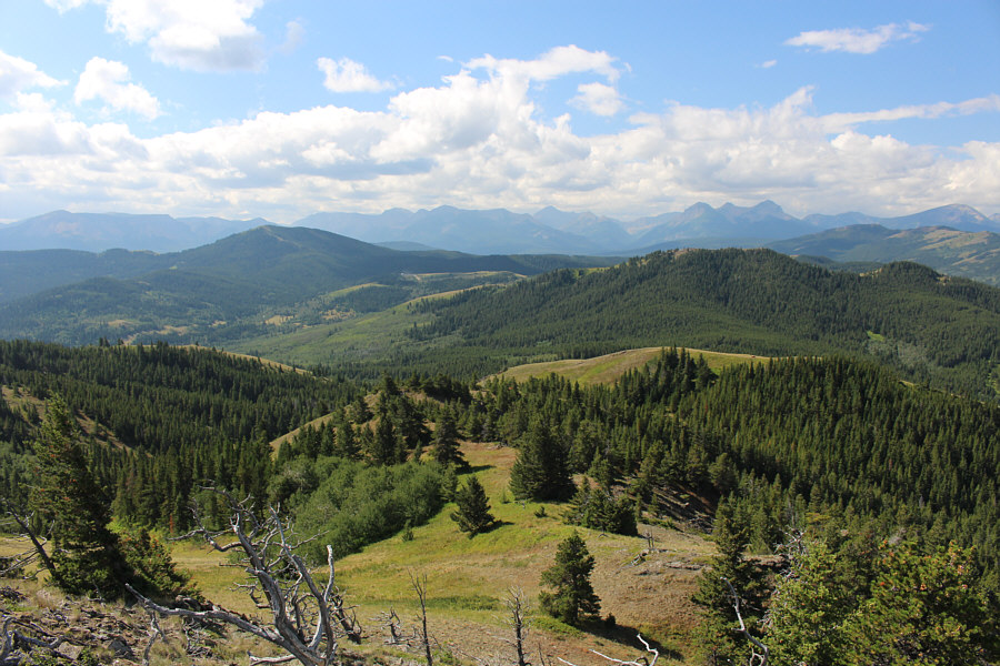 It's 2.1 kilometres away as the crow flies.