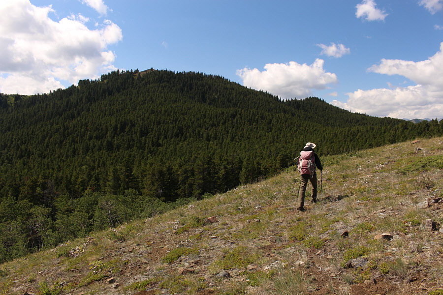 We've got some work ahead of us...