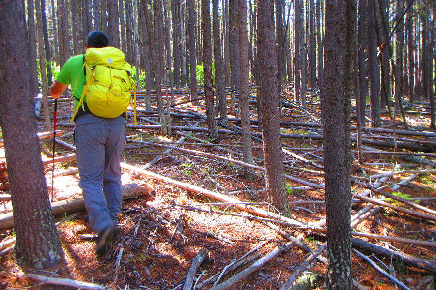 The bushwhacking here was not bad.