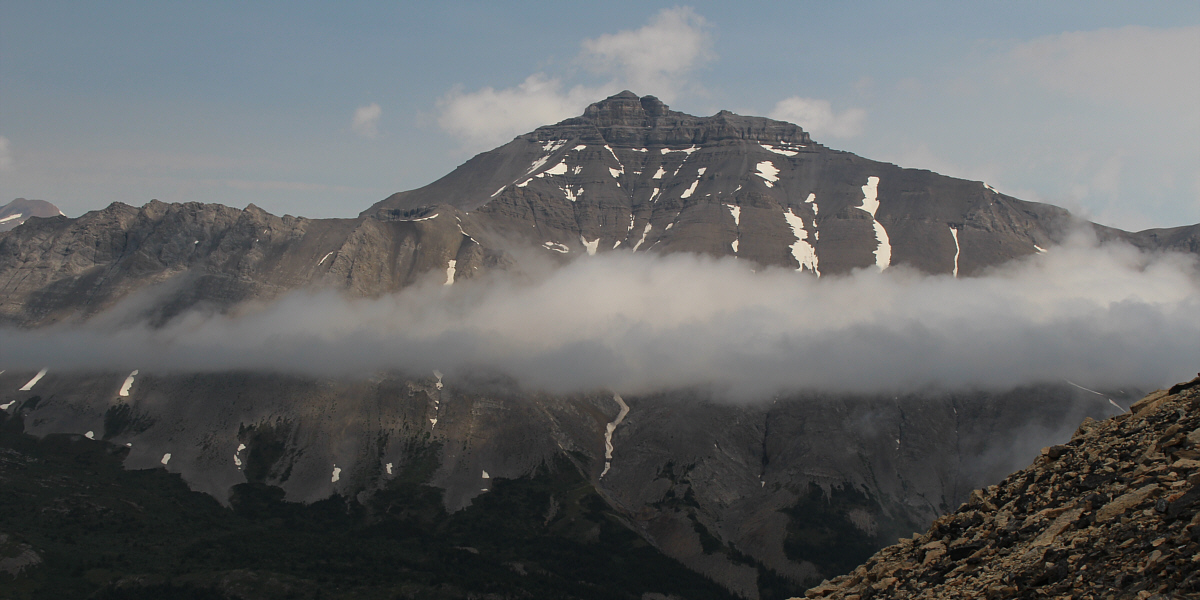 Another Kane classic!