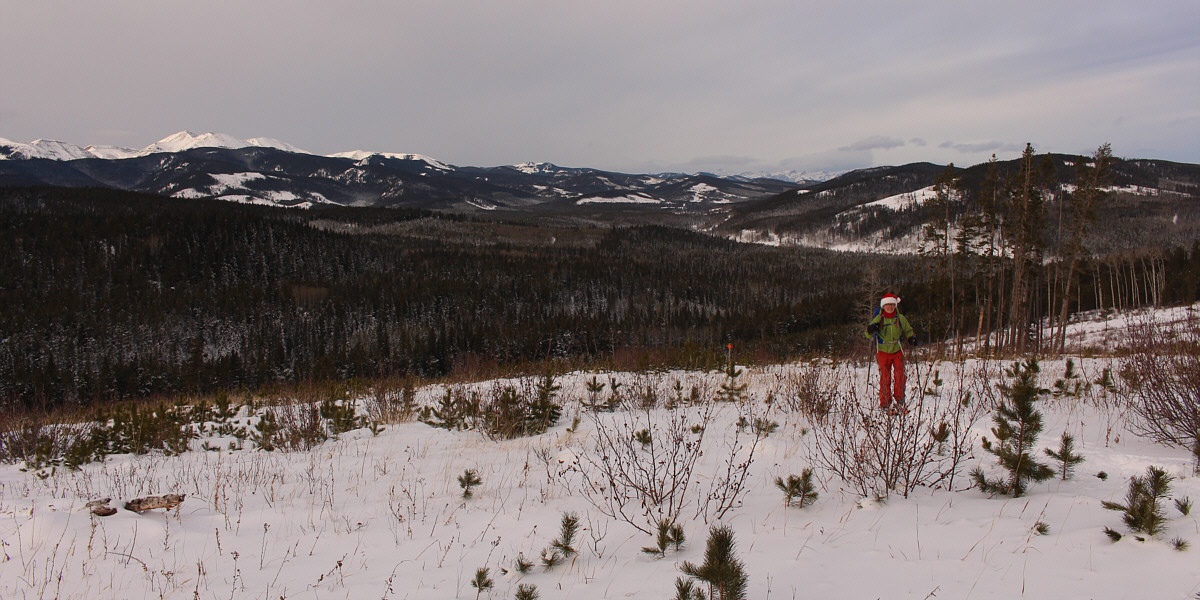 Better than having no views at all!