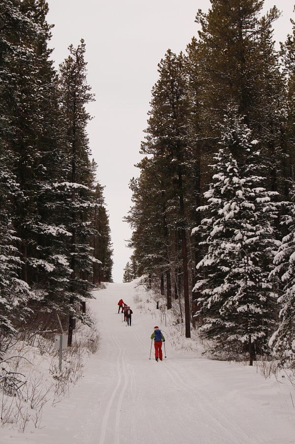 Gees, it's uphill both ways!