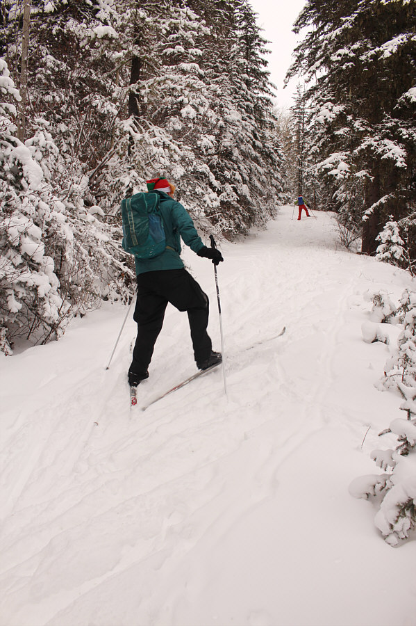 Two roads diverged in a wood, and I--I took the one less traveled by, And that has made all the difference.