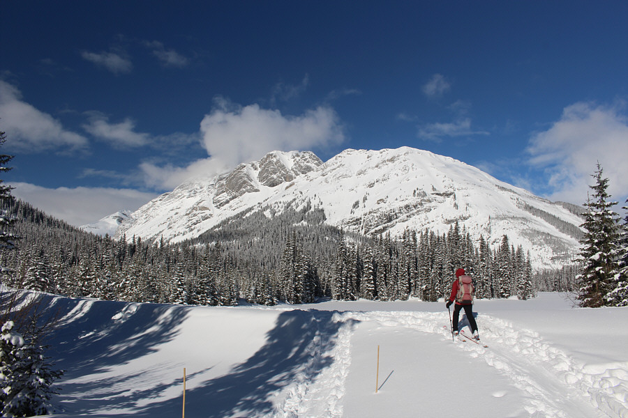 Warmer than expected!