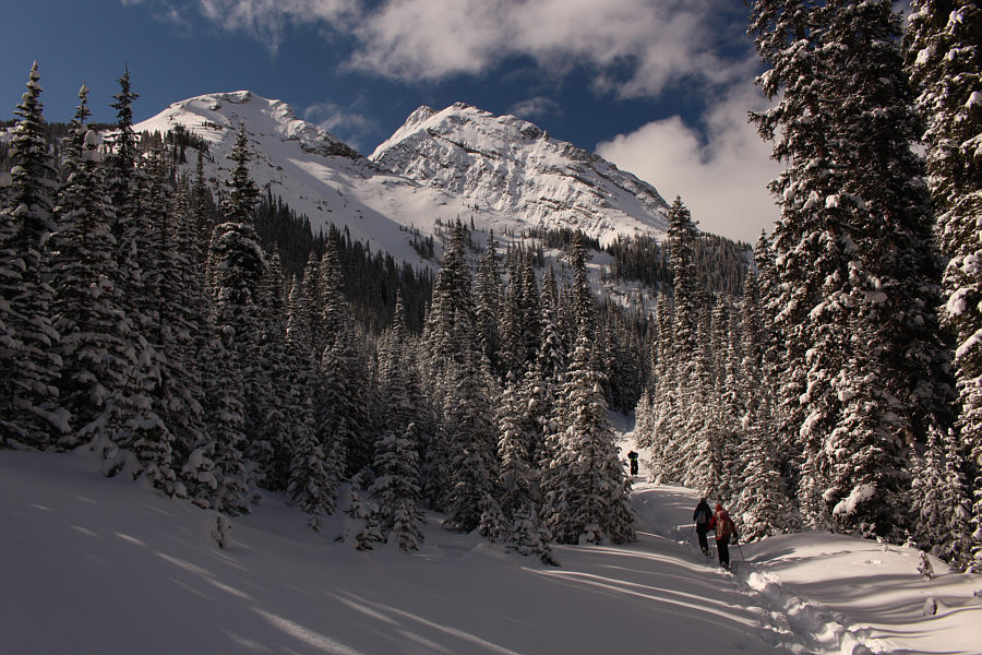 This trail really sucks on the return ski!
