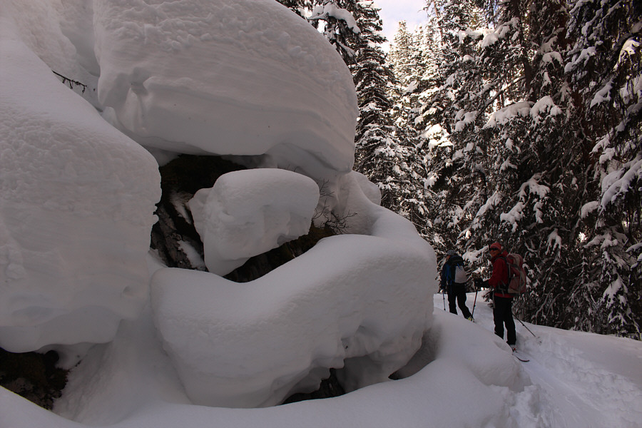 Feels like mid-winter still!